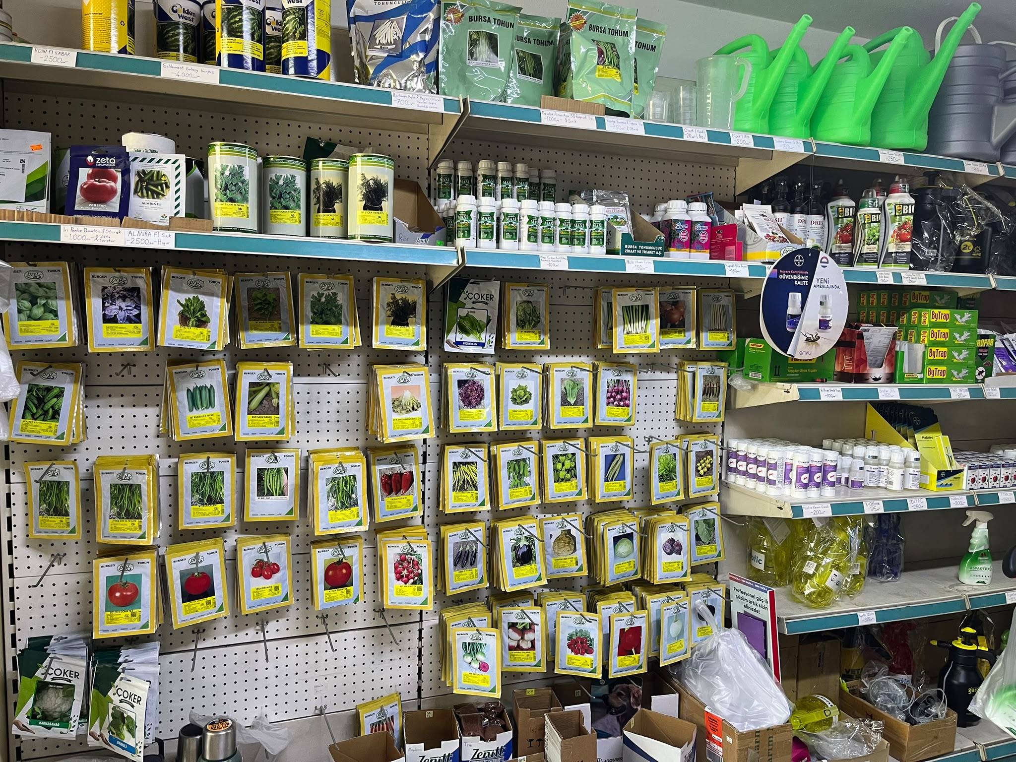 Tohum çeşitleri — Başak Tarım Market